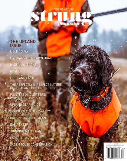 fly fishing, upland hunting, waterfowl, big game - Strung Magazine - Tied to Nature