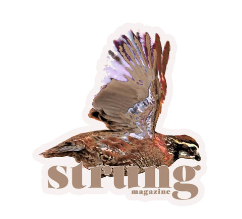 Quail in flight Upland Hunting Sticker by Strung Magazine